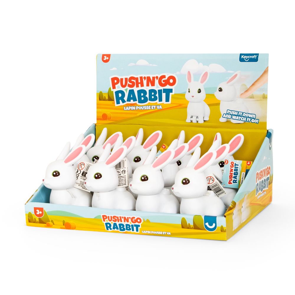 Push 'N' Go Rabbit