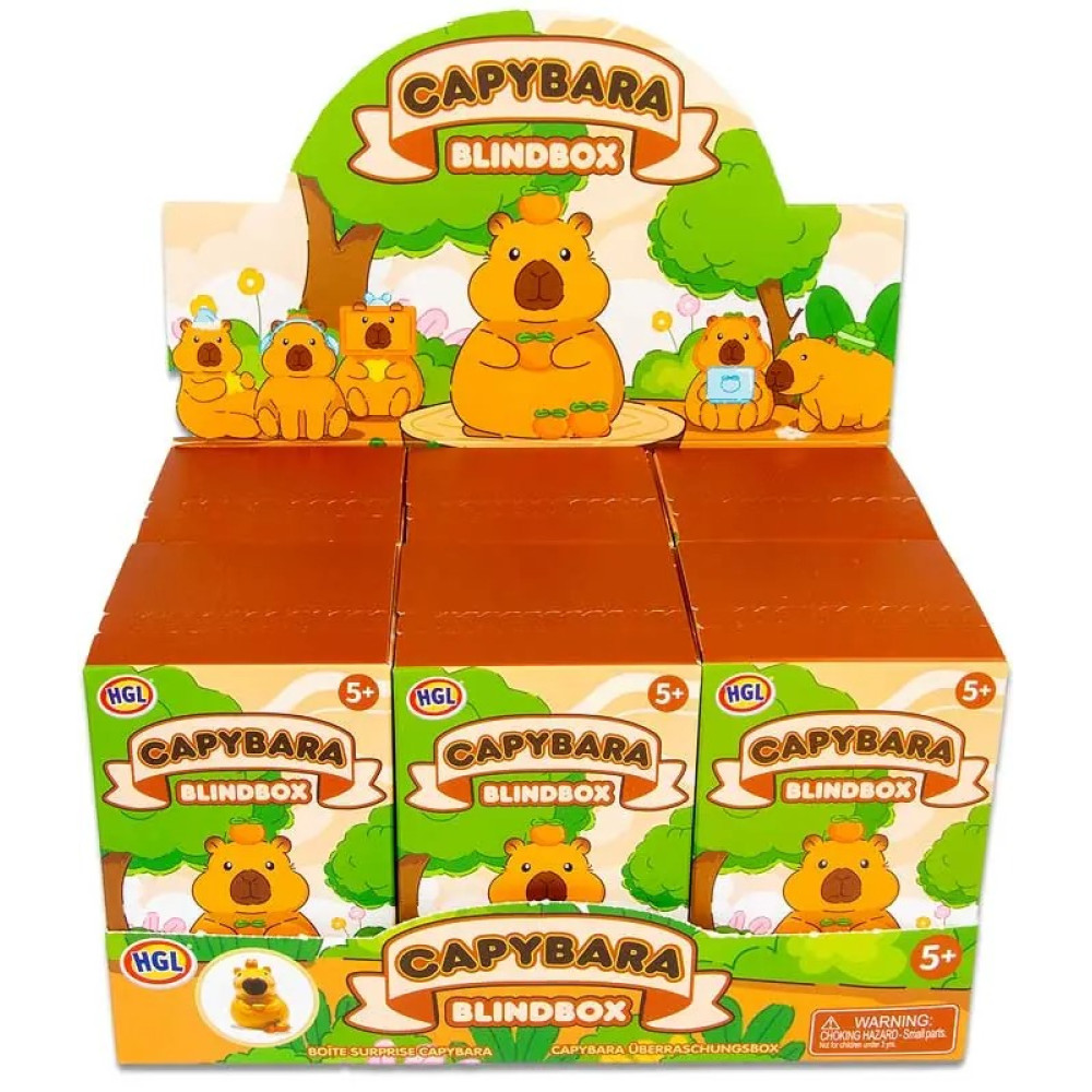 BLIND BOX CAPYBARA ASSORTED