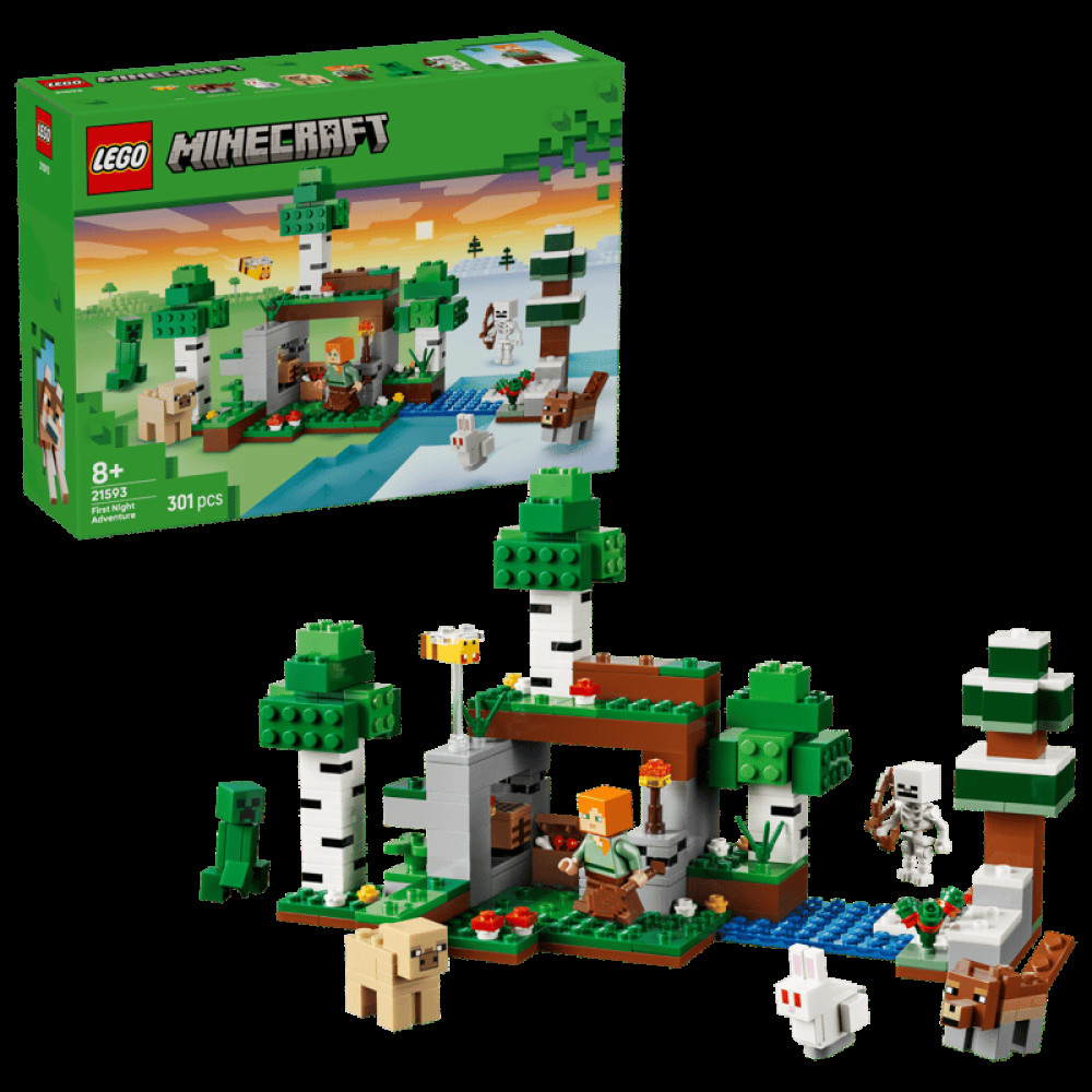 LEGO Minecraft First Night Adventure (21593)