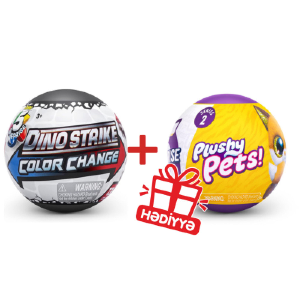 5 surprise promo 1+1