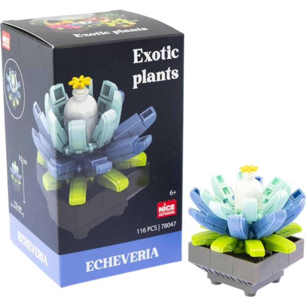 NICE Ekzotik Bitki Qurma Dəsti