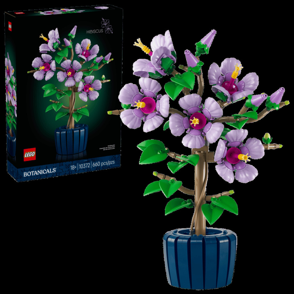 10372 HIBISCUS