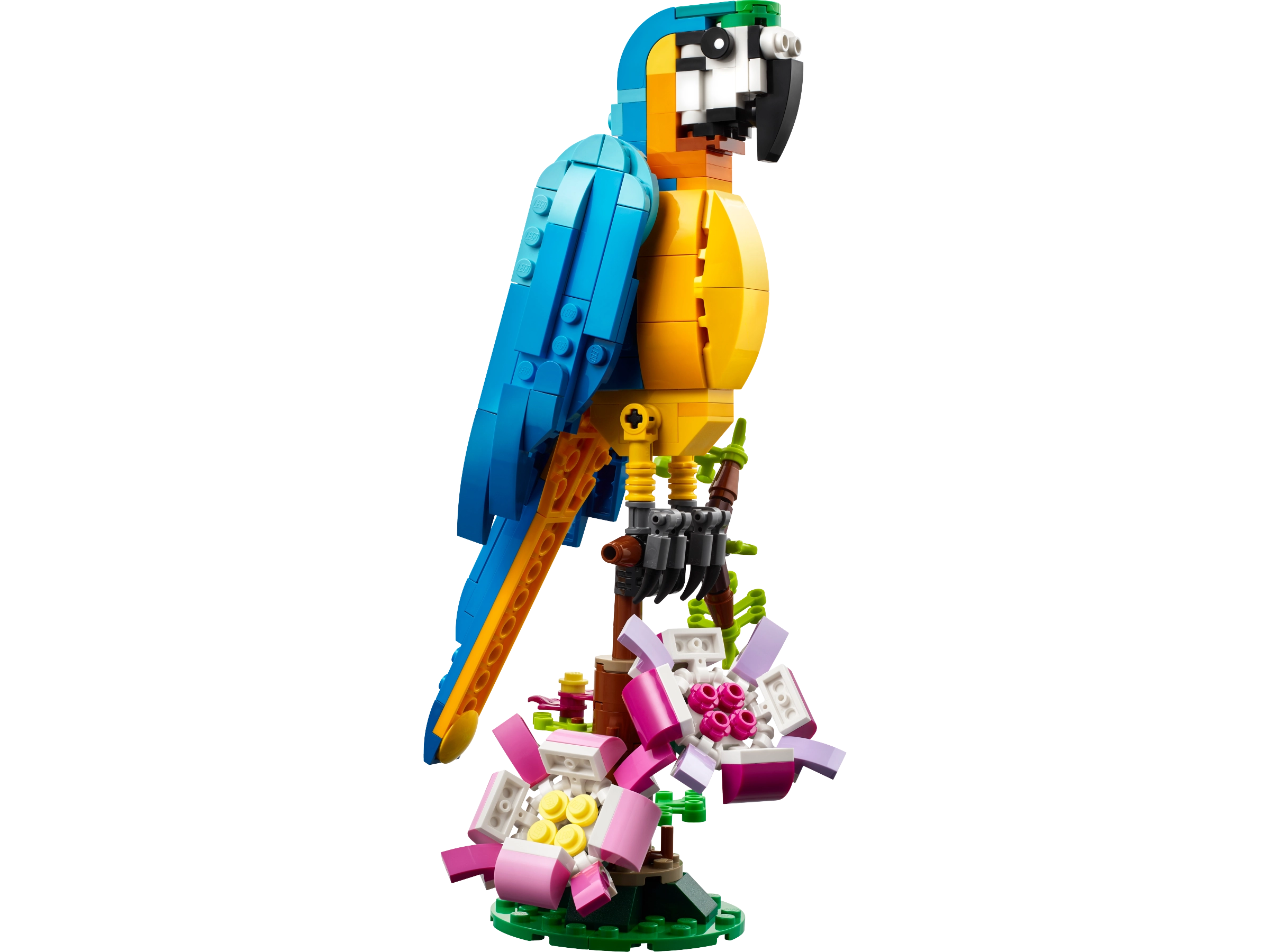 31136 Exotic Parrot