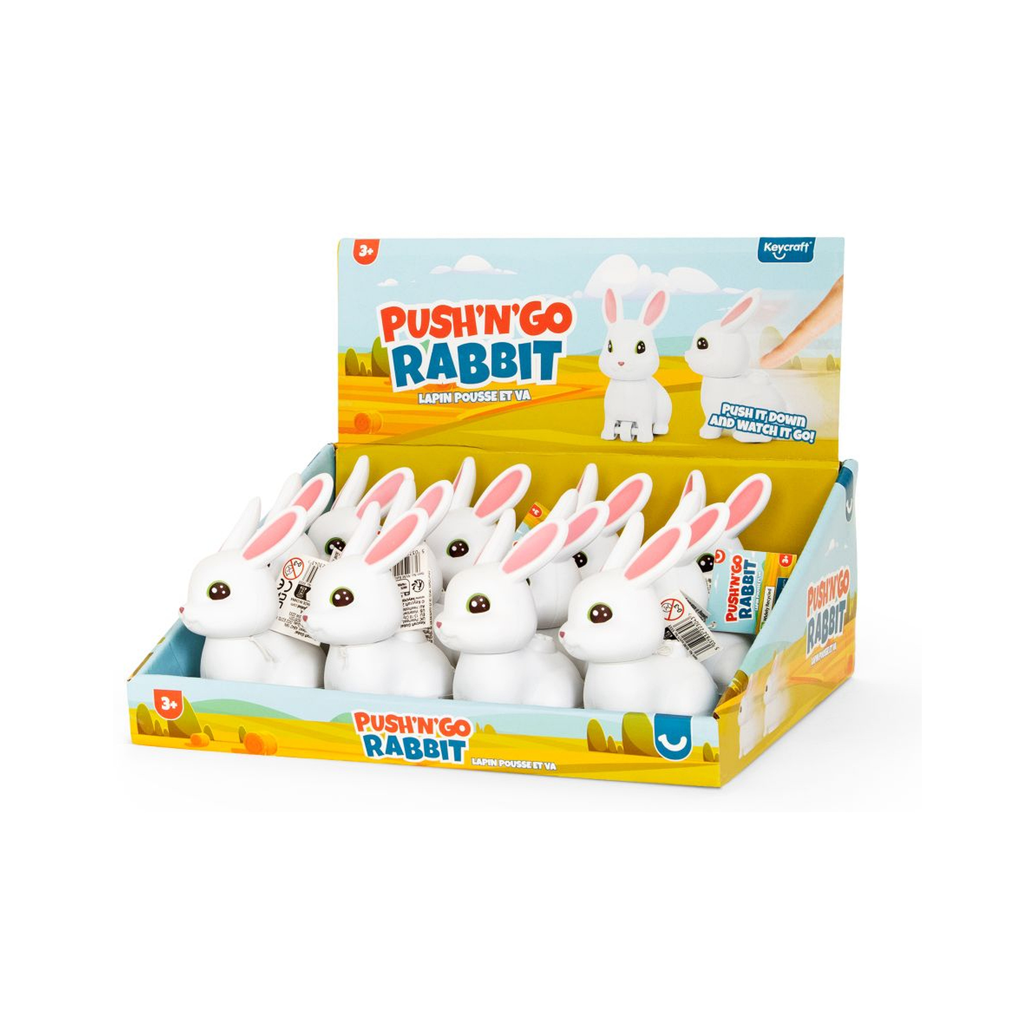 Push 'N' Go Rabbit