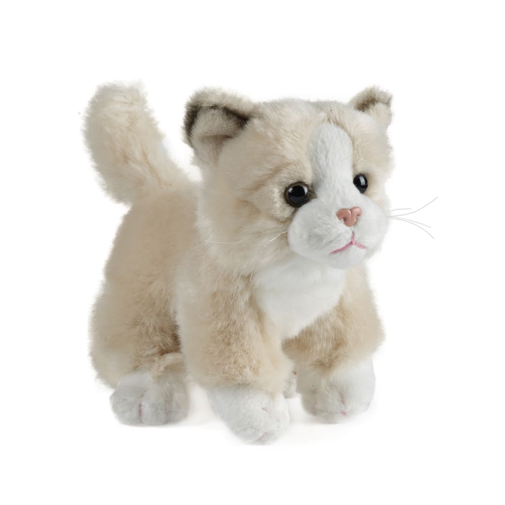 https://thetoyshop.az/image/catalog/products/06b8e3fb-750b-11f1-a740-f174a762374c_11.jpg