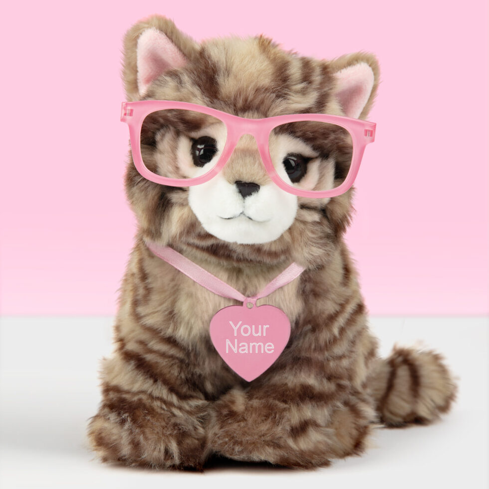 PAIGE - BRITISH LONGHAIR KITTEN - PLUSH LARGE