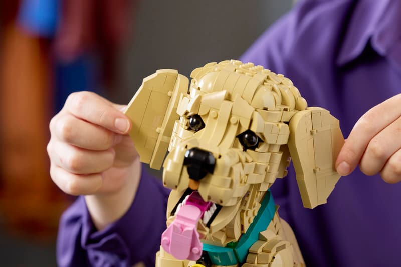 https://thetoyshop.az/image/catalog/products/1603d358-3f18-11f1-a73e-f174a762374c_4.jpg