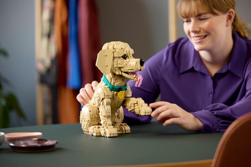 https://thetoyshop.az/image/catalog/products/1603d358-3f18-11f1-a73e-f174a762374c_7.jpg