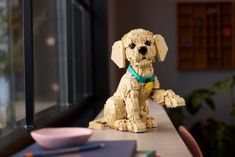 https://thetoyshop.az/image/catalog/products/1603d358-3f18-11f1-a73e-f174a762374c_8.jpg