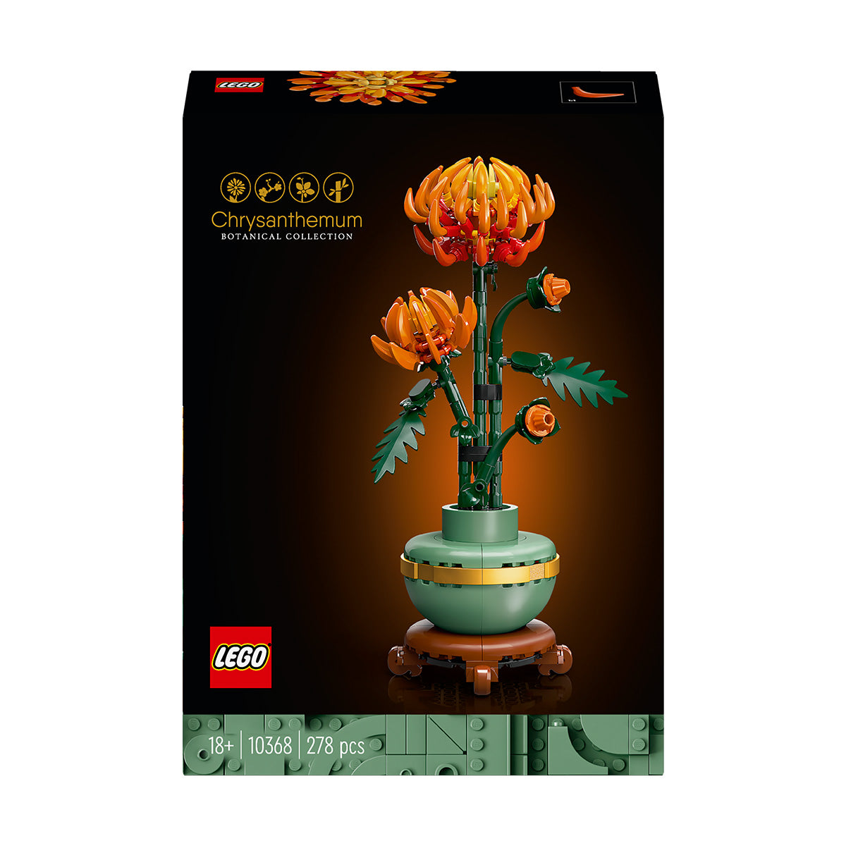 10368 Chrysanthemum