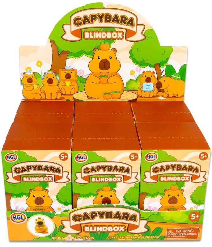 BLIND BOX CAPYBARA ASSORTED