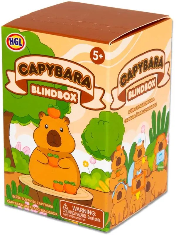 BLIND BOX CAPYBARA ASSORTED