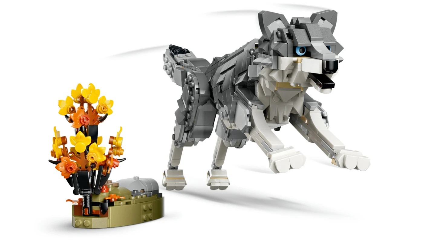 https://thetoyshop.az/image/catalog/products/24ffd563-9096-11f1-a742-8feddcf29c8b_5.jpg