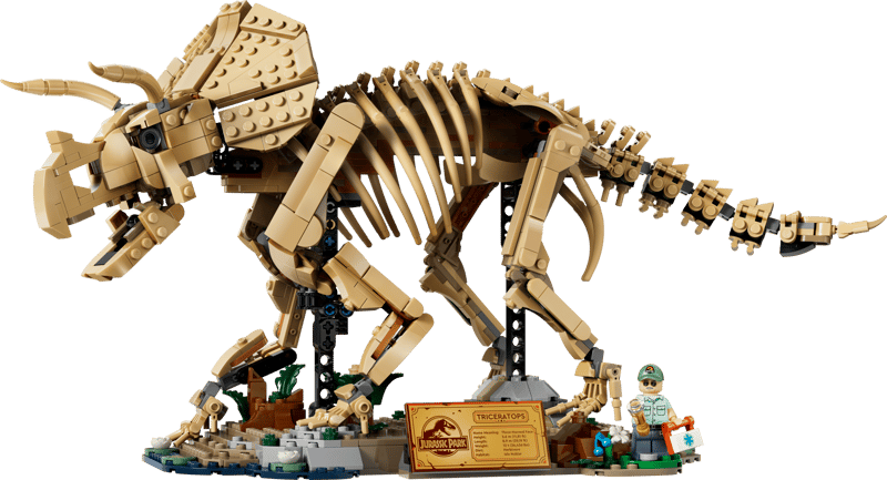 https://thetoyshop.az/image/catalog/products/2b03006f-9096-11f1-a742-8feddcf29c8b_10.jpg