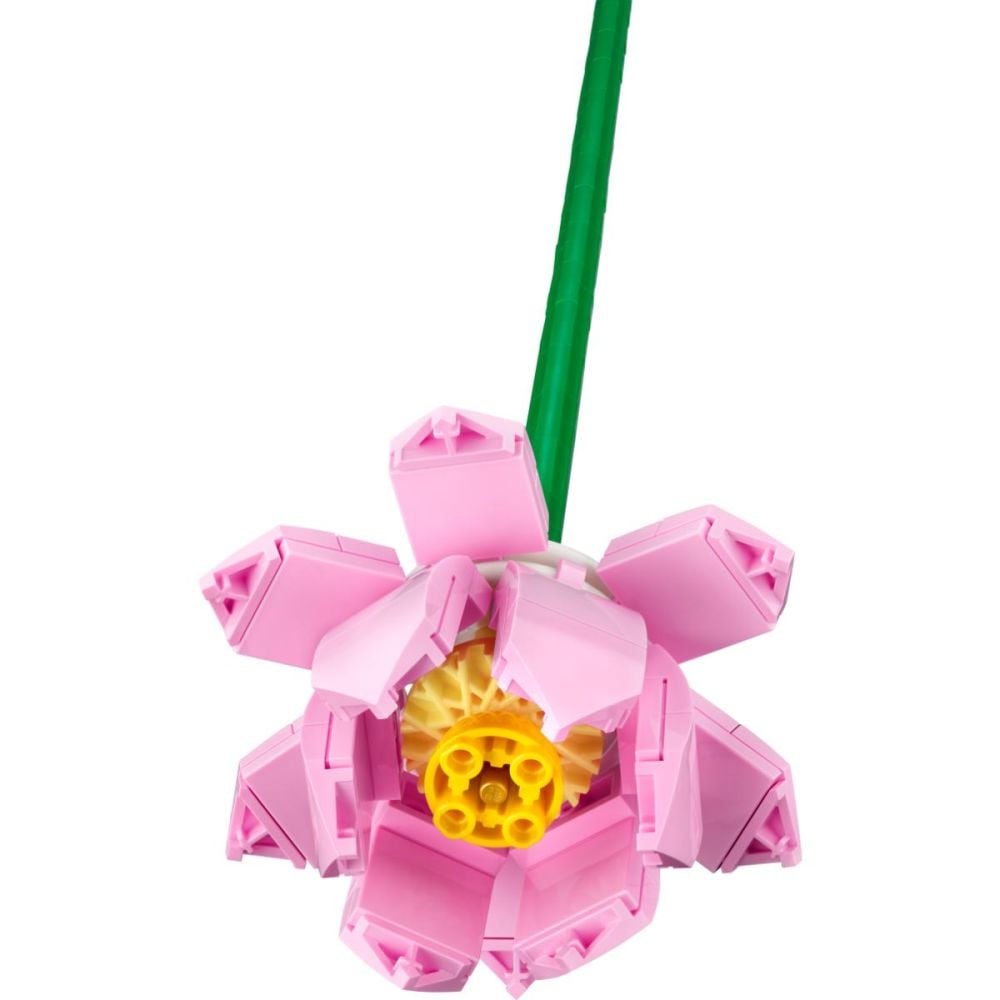 https://thetoyshop.az/image/catalog/products/2d174066-a4c0-11ee-b8fa-000c293fdd4f_3.jpg