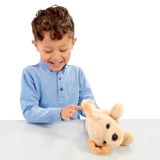https://thetoyshop.az/image/catalog/products/2f72818f-8d47-11ee-b8ef-000c293fdd4f_5.jpg
