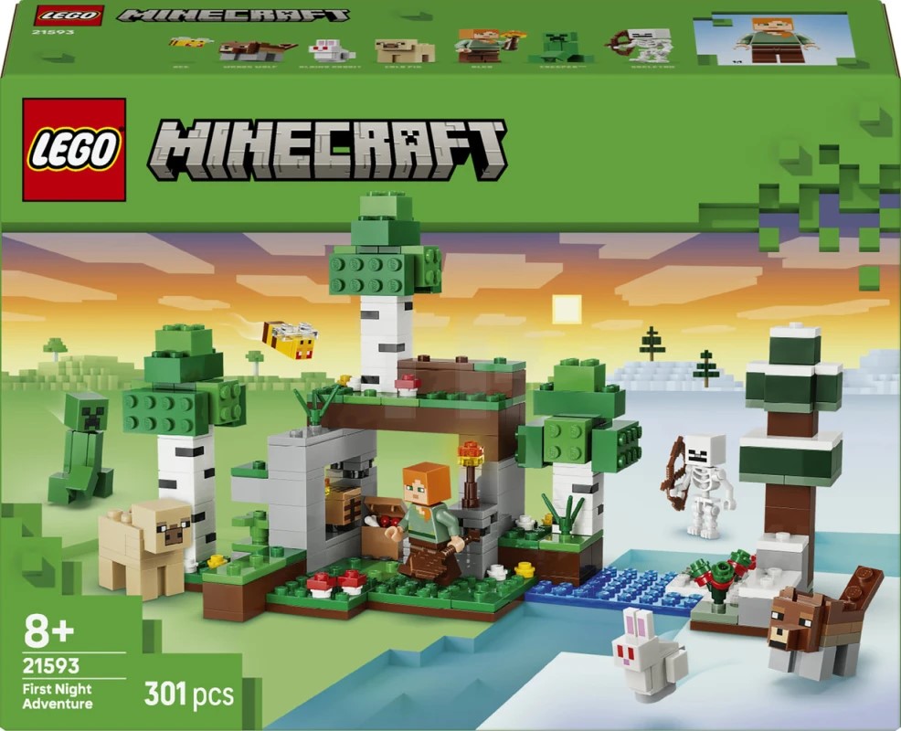 LEGO Minecraft First Night Adventure (21593)