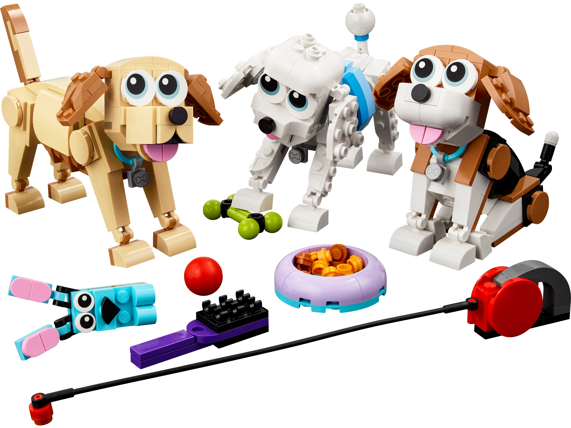 31137 Adorable Dogs