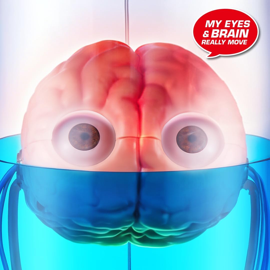 https://thetoyshop.az/image/catalog/products/5a7c4902-b8ac-11f1-a746-c327f6cb4297_3.jpg