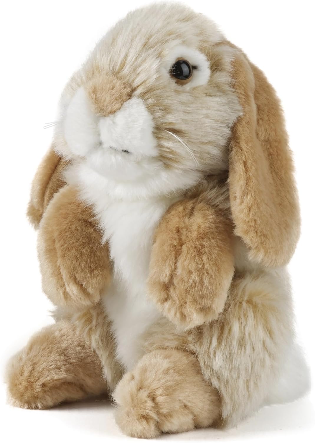 /image/catalog/products/9ce14b03-5021-11f1-a73e-f174a762374c_1.jpg