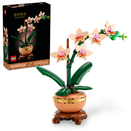 10343 Mini Orchid