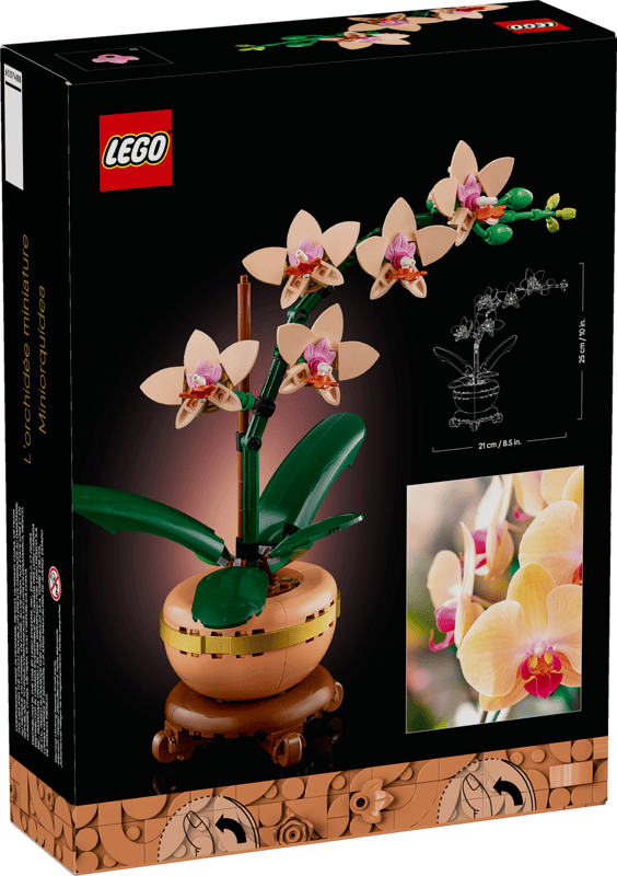 10343 Mini Orchid
