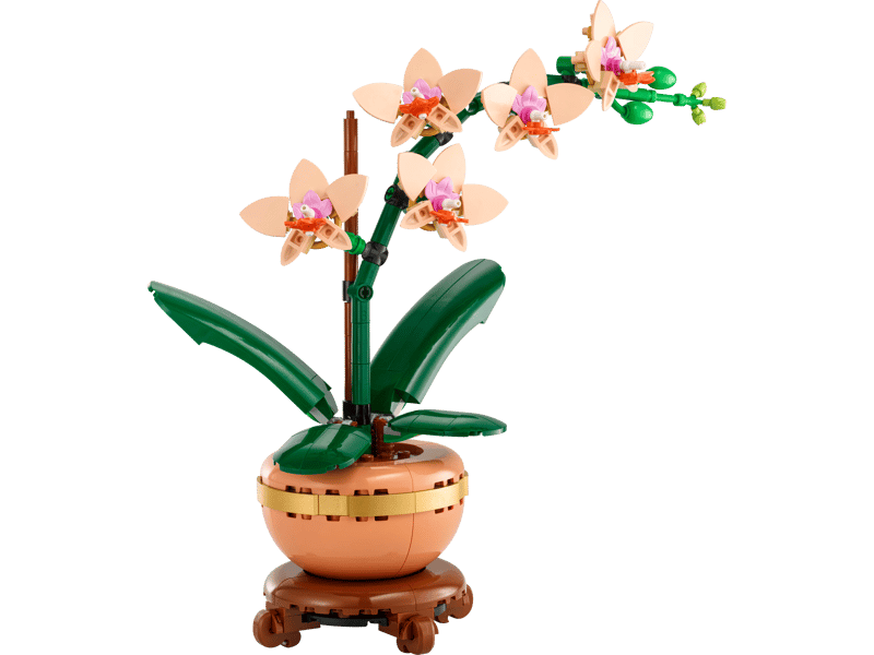 https://thetoyshop.az/image/catalog/products/b694c54b-cdc2-11ef-aff1-644ed76f0f43_6.jpg