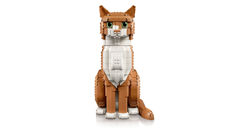 https://thetoyshop.az/image/catalog/products/bdfe201e-63ca-11f1-a73f-f174a762374c_7.jpg