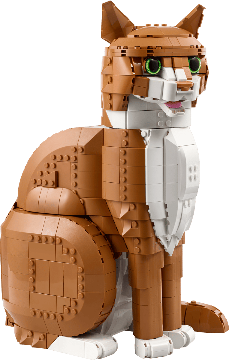 https://thetoyshop.az/image/catalog/products/bdfe201e-63ca-11f1-a73f-f174a762374c_9.jpg