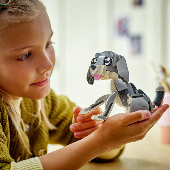 https://thetoyshop.az/image/catalog/products/c2893099-cdc2-11ef-aff1-644ed76f0f43_3.jpg