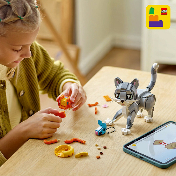 https://thetoyshop.az/image/catalog/products/c2893099-cdc2-11ef-aff1-644ed76f0f43_4.jpg