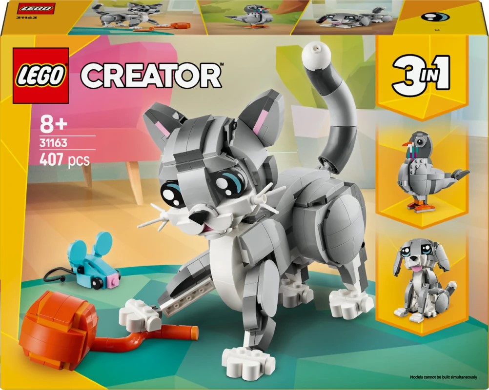 31163 Playful Cat