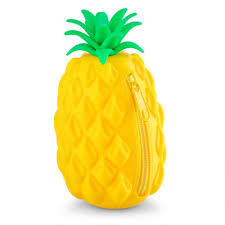 ANANAS ÇANTANI