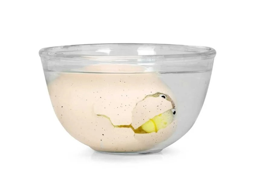 https://thetoyshop.az/image/catalog/products/d6fc345c-7a17-11ee-b8ee-000c293fdd4f_5.jpg