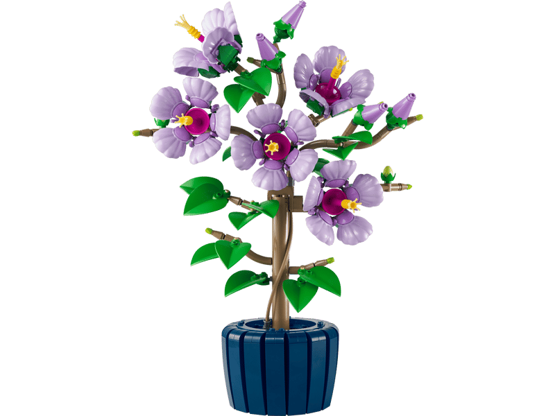 https://thetoyshop.az/image/catalog/products/ebf940b0-21ef-11f1-a738-8d50a532ed40_10.jpg