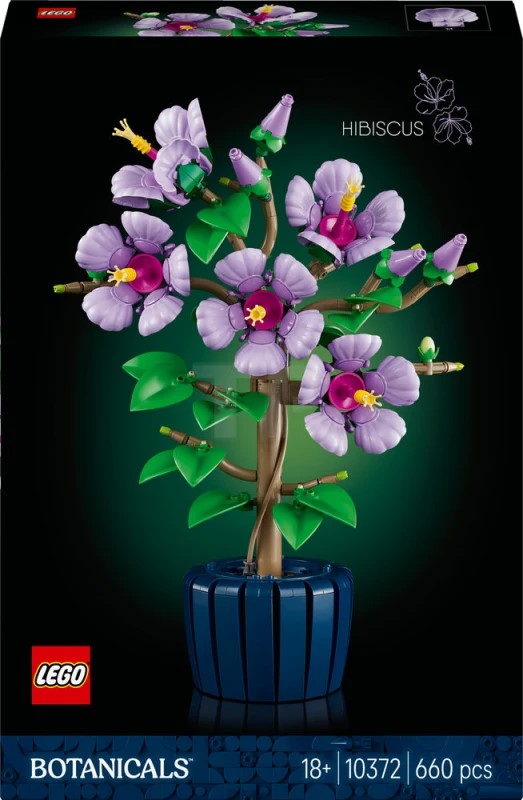 10372 HIBISCUS