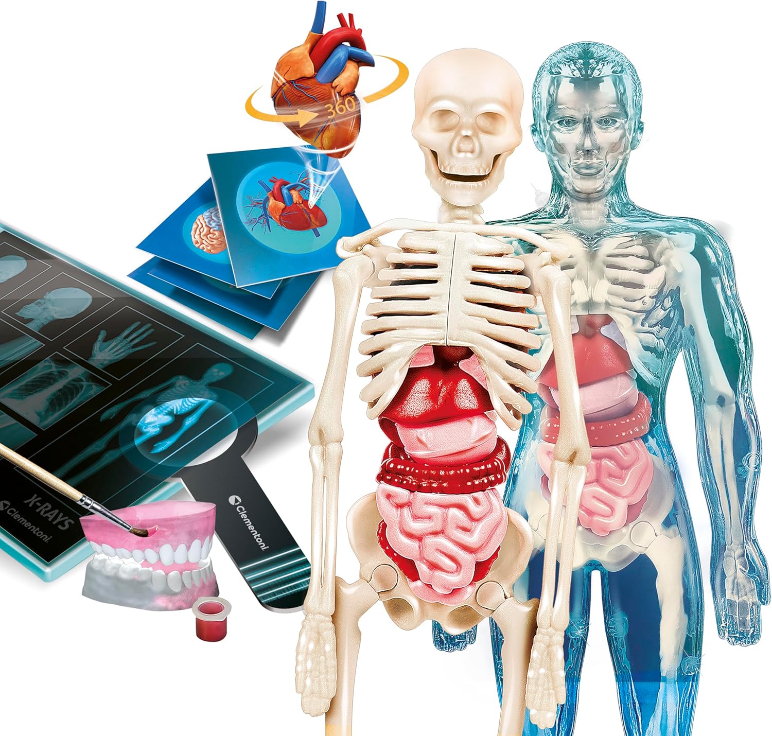 https://thetoyshop.az/image/catalog/products/fc5480d8-5903-11f1-a73f-f174a762374c_5.jpg